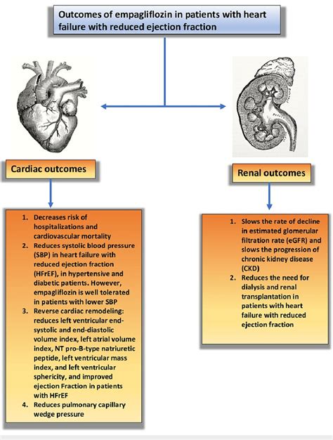 Summary Of The Cardiovascular And Renal Outcomes Of Empagliflozin In