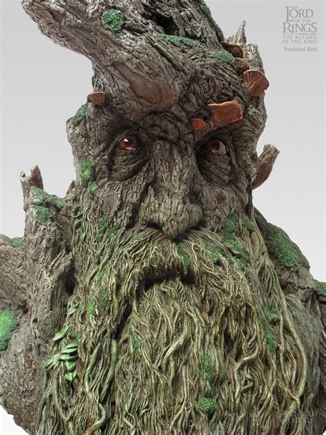 Treebeard Lord Of The Rings Tree Faces