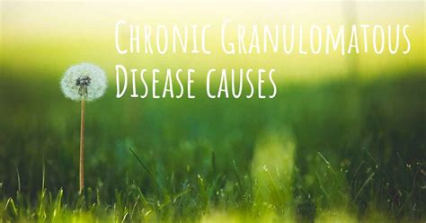 Which are the causes of Chronic Granulomatous Disease?