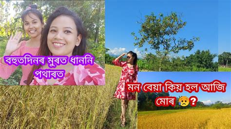 বহুতদিনৰ পিছত ধাননি পথাৰত💚assamese Vlog Pompyvlogs2612