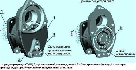 Установка тнвд на двигатель д 245 метки