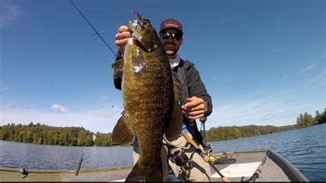 Lac Long Pond Fishing Report For Smallmouth Basssep 29 2021 Omnia