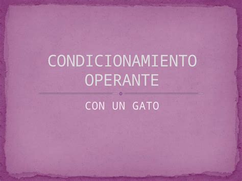 PPTX Condicionamiento Operante Con Un Gato DOKUMEN TIPS