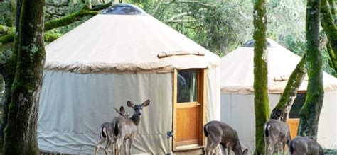 13 Best Yurt Rentals In And Near Big Sur, California - Updated 2024 ...