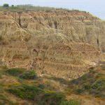 Wildlife You Might See on Your Next Torrey Pines Hike