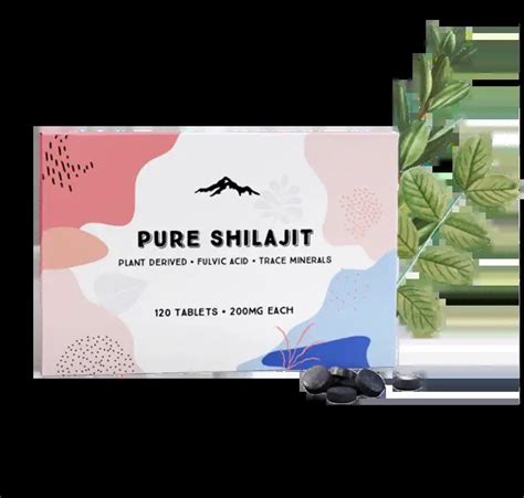 Comprimés de SHILAJIT Salons Bien Être