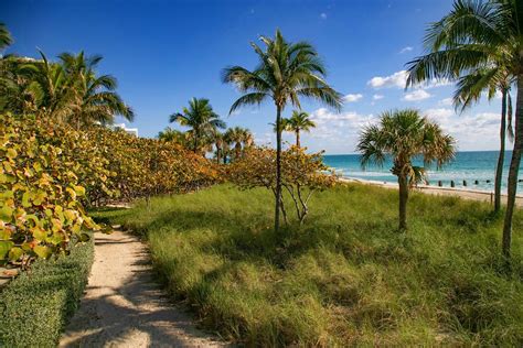 Top 5 Reasons To Visit Bal Harbour Florida Things To Do In Bal