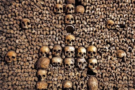 Paris Catacombs History Facts And Tips For Visiting