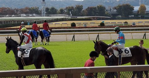 1126土 1日パック｜🐴競馬初心者に優しい🐴予想家がんつ。｜note