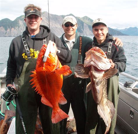 Alaska Lingcod Fishing Alaska Halibut Fishing Charter