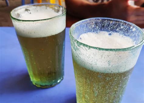 Bia Hoi: Everything You Need to Know About Vietnam's Iconic Beer!