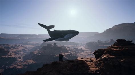 A Majestic Whale Soaring Through Skies Over Stock Motion Graphics Sbv