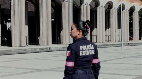 Protocolos De Actuaci N En Manifestaciones Gu A Pr Ctica