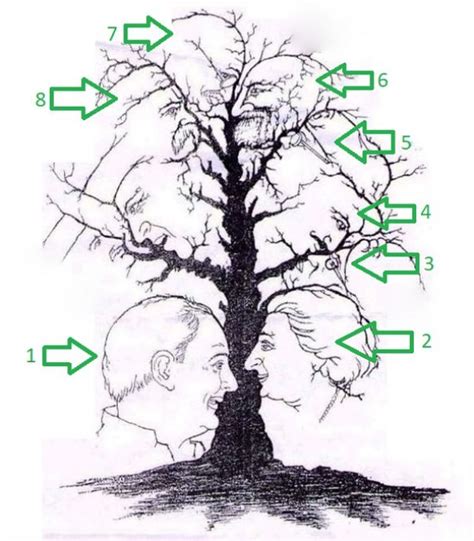 Wie viele Gesichter siehst du auf diesem Bild Wenn du tatsächlich alle
