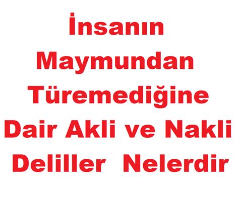 Nsan N Maymundan T Remedi Ine Dair Akli Ve Nakli Deliller Nelerdir