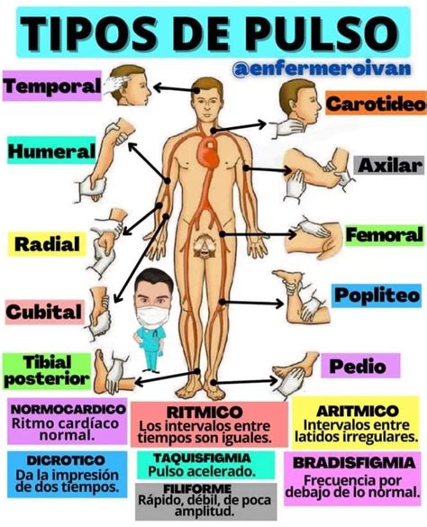 Tipos De Pulso Medical School Stuff Medicine Student Medical School