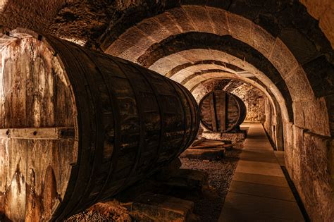 El Vino En La Antig Edad Bodegas Protos