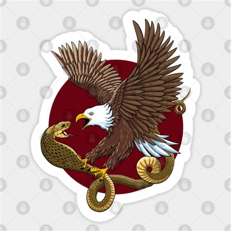 Eagle vs snake - Eagle - Sticker | TeePublic