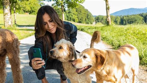 ZDF holt Frühling zurück ins Programm Sender zeigt fünf Folgen