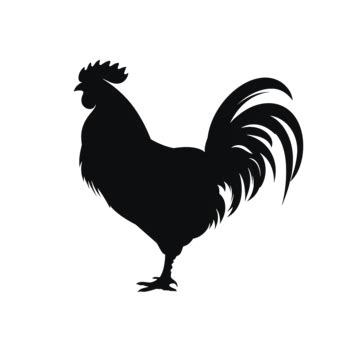 Animal Chicken Silhouette, Chicken, Rooster, Animal PNG Transparent ...