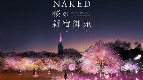 4 Tickets Of Japan S Cherry Blossom Season At Night With NAKED Sakura