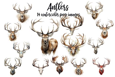 antlers drawing 6