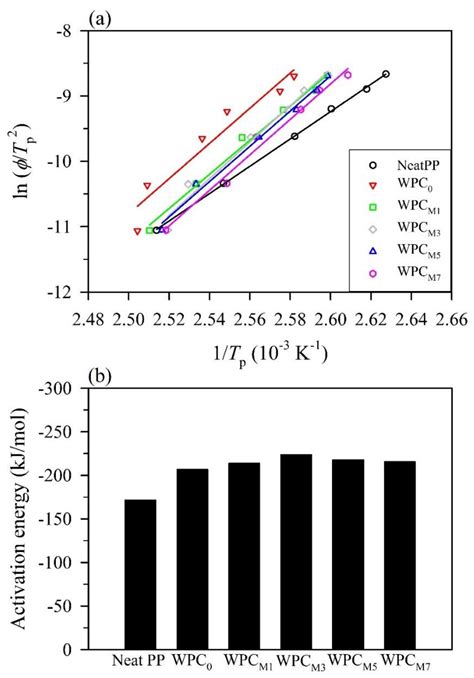 Polymers Free Full Text The Effect Of Maleated Polypropylene On The