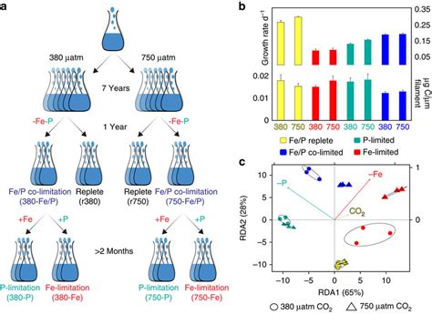 Experimental Design With Cell Physiology And Global Proteome Redundancy Download Scientific