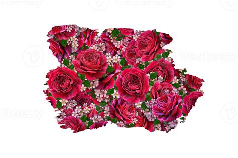 Flower Sublimation Clipart Png 21444250 Png