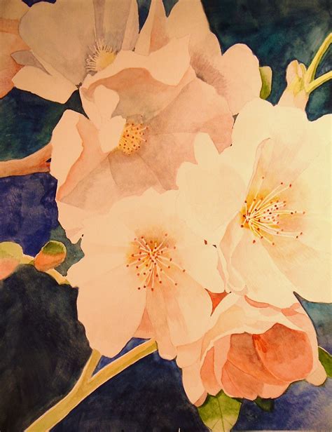 Tom Bose Watercolors No Cherry Blossoms Watercolor