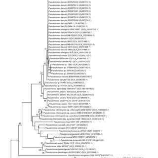 Phylogenetic Tree Based On The 16S RNA Gene Sequence Jukes Cantor