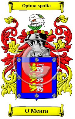 O'Meara Name Meaning, Family History, Family Crest & Coats of Arms