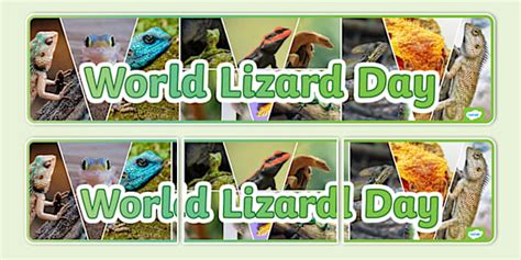 World Lizard Day Photo Display Banner Teacher Made