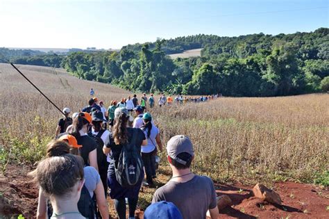 Engenheiro Beltr O Abre Inscri Es Para Caminhada Na Natureza