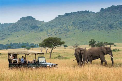 6 Safaris In South Africa For Every Type Of Traveller Fravel