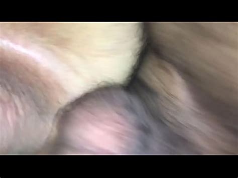 Casal Gay Macho Peludo Fode Gostoso Outra Vez O Branquinho XVIDEOS