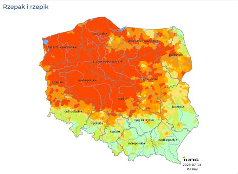 Susza rolnicza demoluje uprawy Prawdziwe piekło w Wielkopolsce i