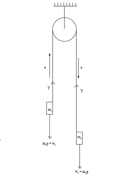 Draw A Free Body Diagram For Each Of The Two Masses Homework Study