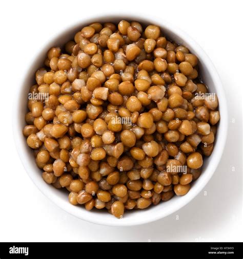 White ceramic bowl of brown cooked lentils isolated on white from above