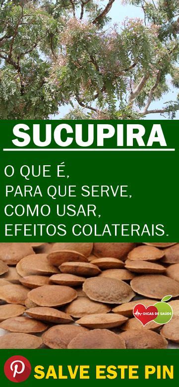 Sucupira Para Que Serve Benef Cios E Como Usar Dicasdesaude