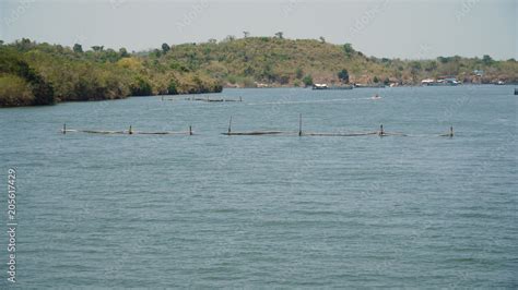 Fish farm with cages for fish and shrimp in the Philippines, Luzon. Fish ponds for bangus ...