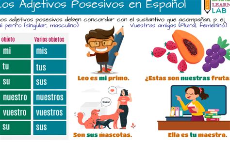 Oraciones Con Adjetivos Posesivos En Espa Ol Ejemplos Y Ejercicios