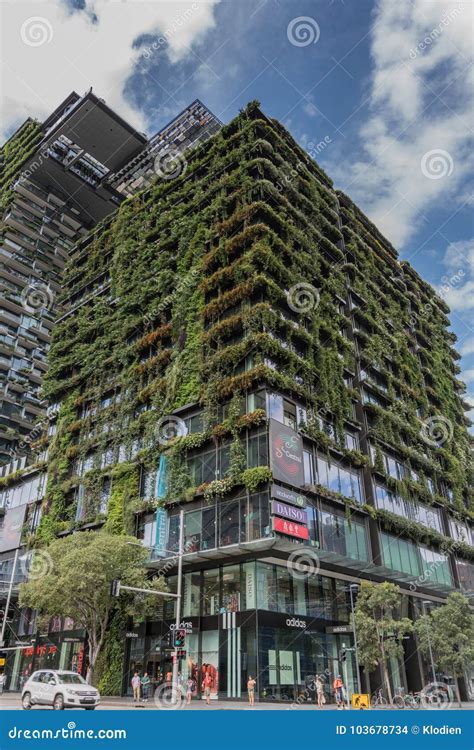 Esquina Del Edificio De La Alameda Del Central Park En Broadway Sydney