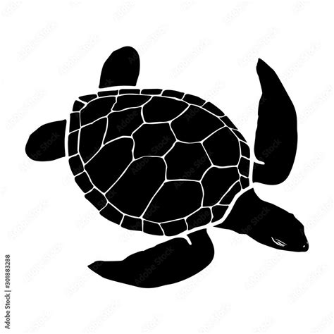 graphic sea turtle,vector illustration of sea turtle,vector of turtle ...