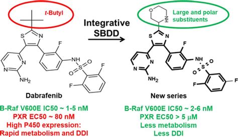 Structure Based And Knowledge Informed Design Of B Raf Inhibitors