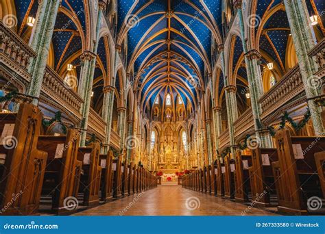 Splendid Architecture Inside the Notre Dame Cathedral Basilica in ...