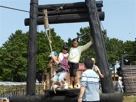 上の太子観光みかん園 観光スポット・体験 Osaka Info