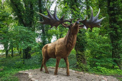 The massive megafauna that once roamed the earth