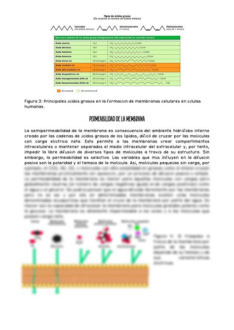 Solution Leccion Membrana Plasmatica Studypool