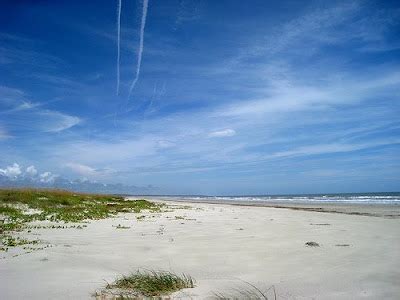 Cumberland Island Georgia Beach Pictures | United States Beaches